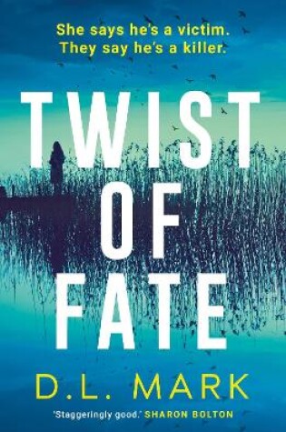 Cover of Twist of Fate