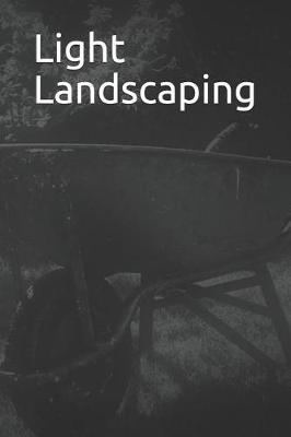 Book cover for Light Landscaping