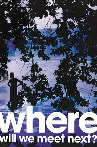 Cover of Stephen Gan/Tobias Schweitzer:Where will we meet next?