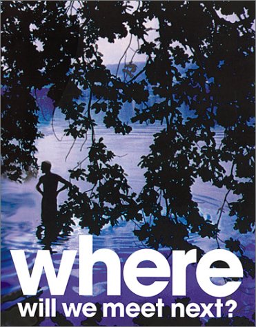 Book cover for Stephen Gan/Tobias Schweitzer:Where will we meet next?