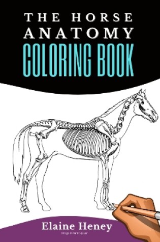 Cover of Horse Anatomy Coloring Book For Adults
