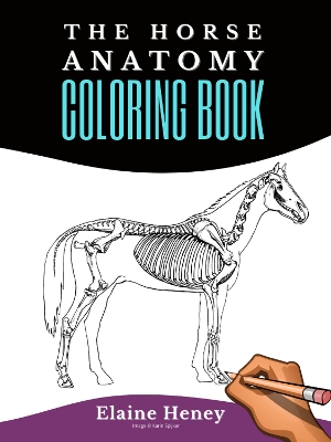 Book cover for Horse Anatomy Coloring Book For Adults