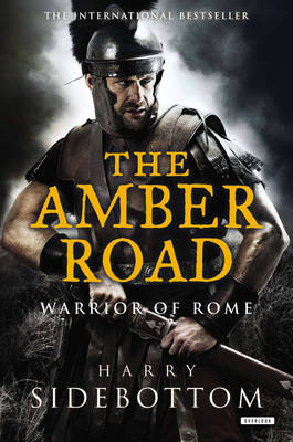 Book cover for The Amber Road