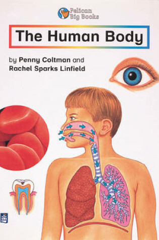Cover of Human Body, The Key Stage 2