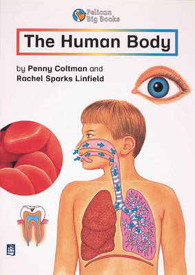 Book cover for Human Body, The Key Stage 2