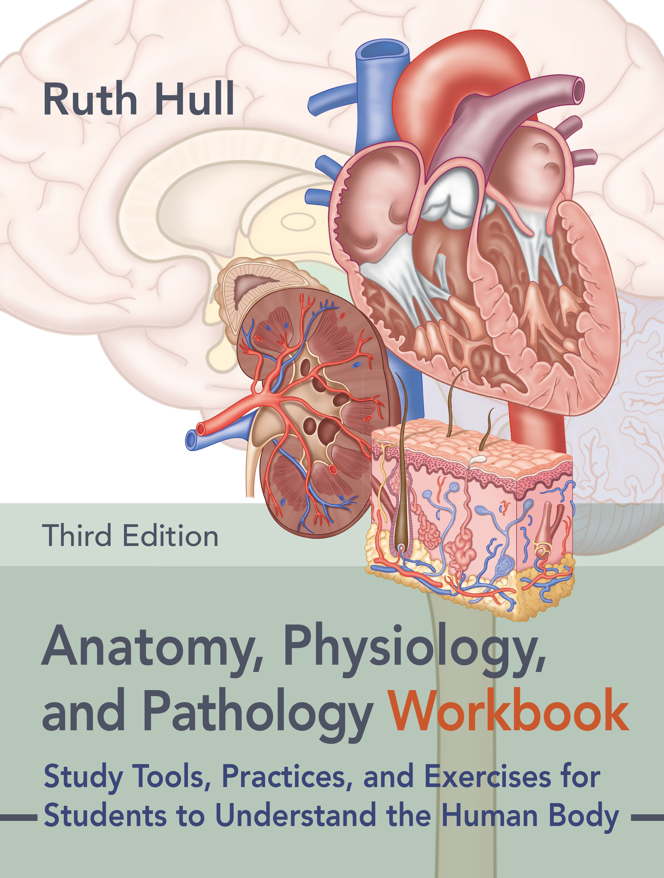 Cover of Anatomy, Physiology, and Pathology Workbook, Third Edition
