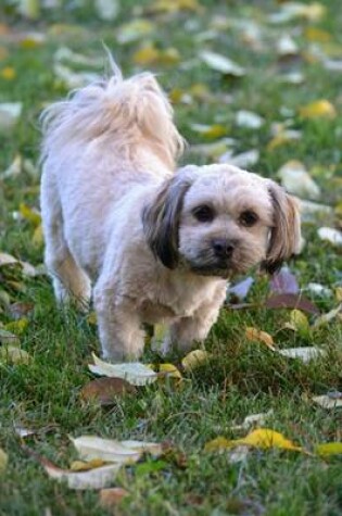 Cover of Lhasa Apso