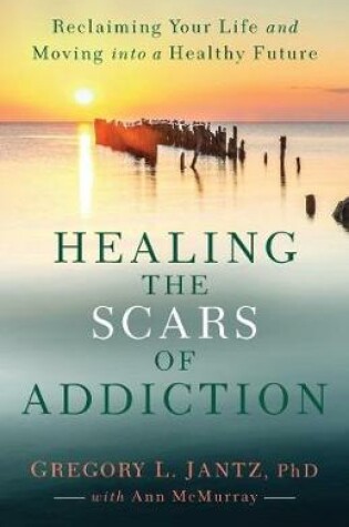 Cover of Healing the Scars of Addiction