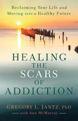 Book cover for Healing the Scars of Addiction