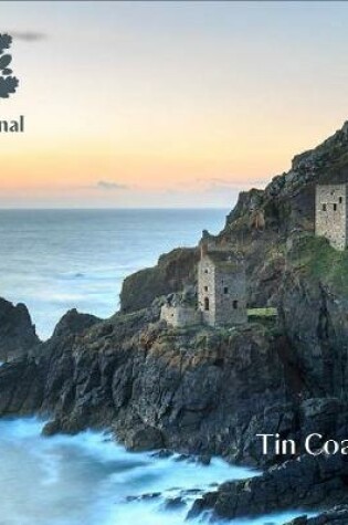 Cover of Tin Coast, Cornwall