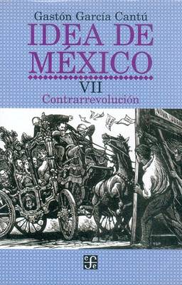 Book cover for Idea de M'Xico, VII