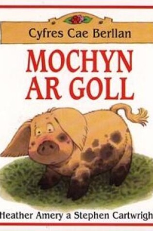Cover of Cyfres Cae Berllan: Mochyn ar Goll