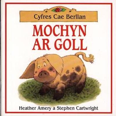 Book cover for Cyfres Cae Berllan: Mochyn ar Goll