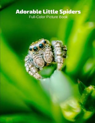 Book cover for Adorable Little Spiders Full-Color Picture Book