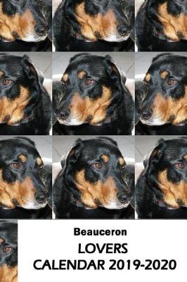 Book cover for Beauceron Lovers Calendar 2019-2020