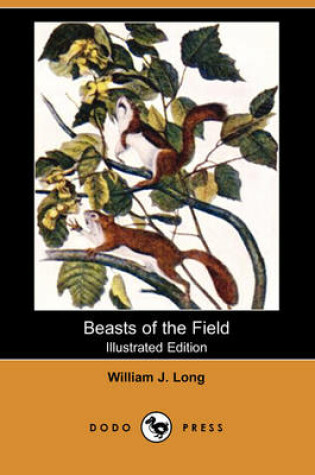 Cover of Beasts of the Field (Illustrated Edition) (Dodo Press)