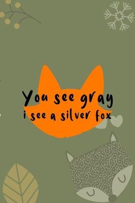 Book cover for You See Gray I See A Silver Fox