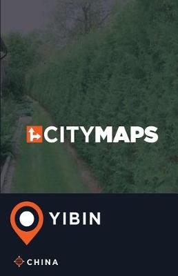 Book cover for City Maps Yibin China