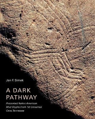 Book cover for A Dark Pathway