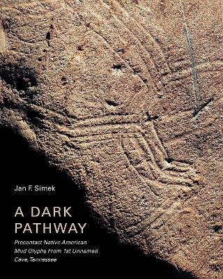 Book cover for A Dark Pathway