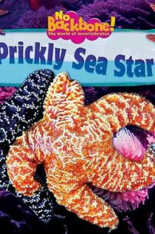 Cover of Prickly Sea Stars