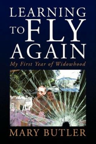 Cover of Learning to Fly Again