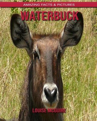 Book cover for Waterbuck