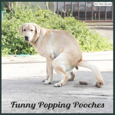 Book cover for Funny Popping Pooches 2021 Wall Calendar