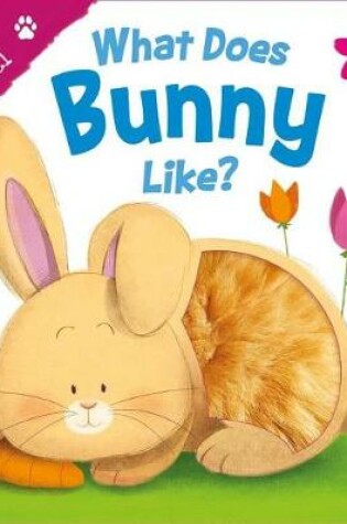 Cover of What Does Bunny Like? (Touch & Feel)