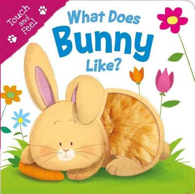 Book cover for What Does Bunny Like? (Touch & Feel)