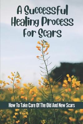 Cover of A Successful Healing Process For Scars