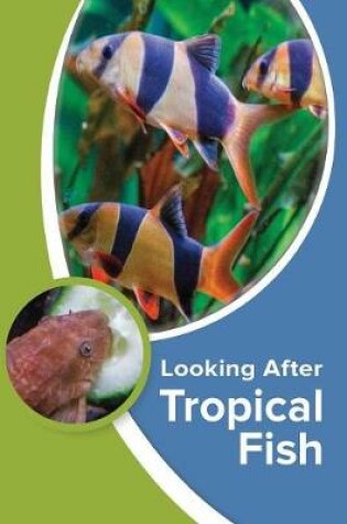 Cover of Looking After Tropical Fish