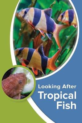 Book cover for Looking After Tropical Fish