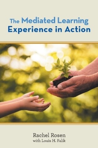 Cover of The Mediated Learning Experience in Action