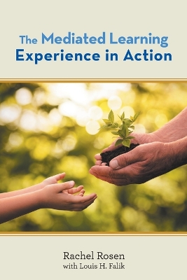 Book cover for The Mediated Learning Experience in Action