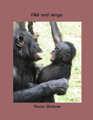 Book cover for Akili and Jenga