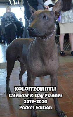 Book cover for Xoloitzcuintli Calendar & Day Planner 2019-2020 Pocket Edition