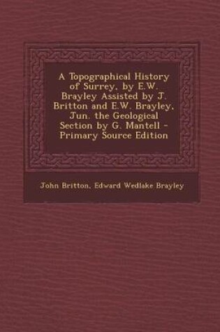 Cover of A Topographical History of Surrey, by E.W. Brayley Assisted by J. Britton and E.W. Brayley, Jun. the Geological Section by G. Mantell - Primary Source Edition