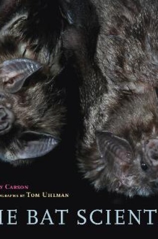 Cover of Bat Scientists