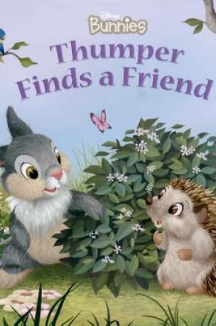 Cover of Disney Bunnies Thumper Finds a Friend