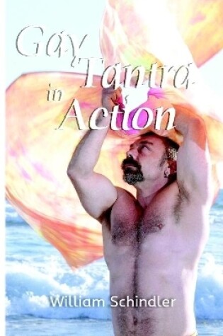 Cover of Gay Tantra in Action