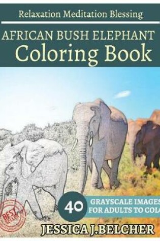 Cover of African Bush Elephant Coloring Book for Adults Relaxation Meditation Blessing