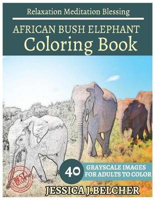 Book cover for African Bush Elephant Coloring Book for Adults Relaxation Meditation Blessing