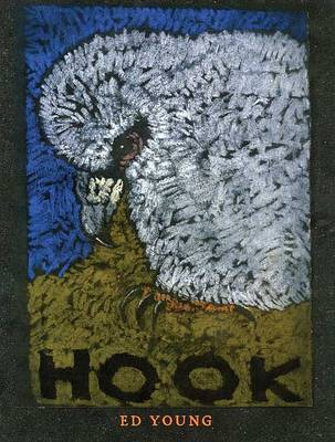 Book cover for Hook