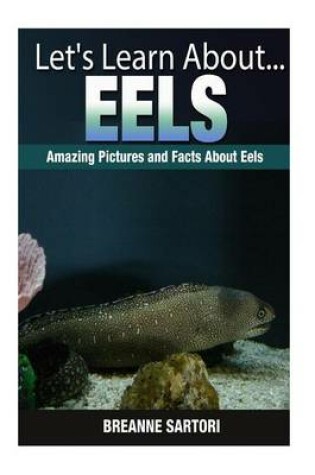 Cover of Eels