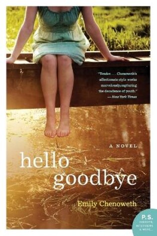 Cover of Hello Goodbye