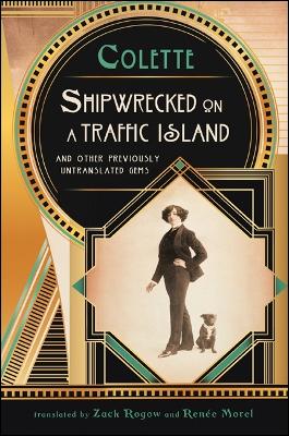 Book cover for Shipwrecked on a Traffic Island