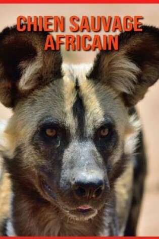 Cover of Chien Sauvage Africain