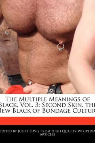 Cover of The Multiple Meanings of Black, Vol. 3