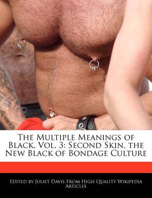 Book cover for The Multiple Meanings of Black, Vol. 3